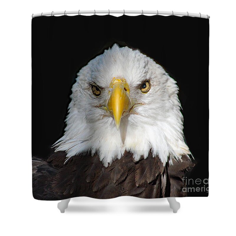 Bird Shower Curtain featuring the photograph USA Proud by DB Hayes