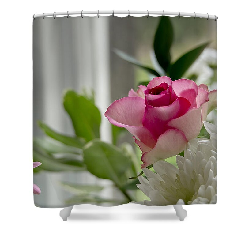 Rose Shower Curtain featuring the photograph Vagary of mind. by Elena Perelman