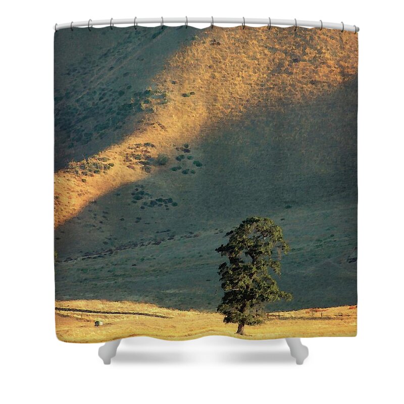 Oak Tree Shower Curtain featuring the photograph Valley Oak by Timothy Bulone