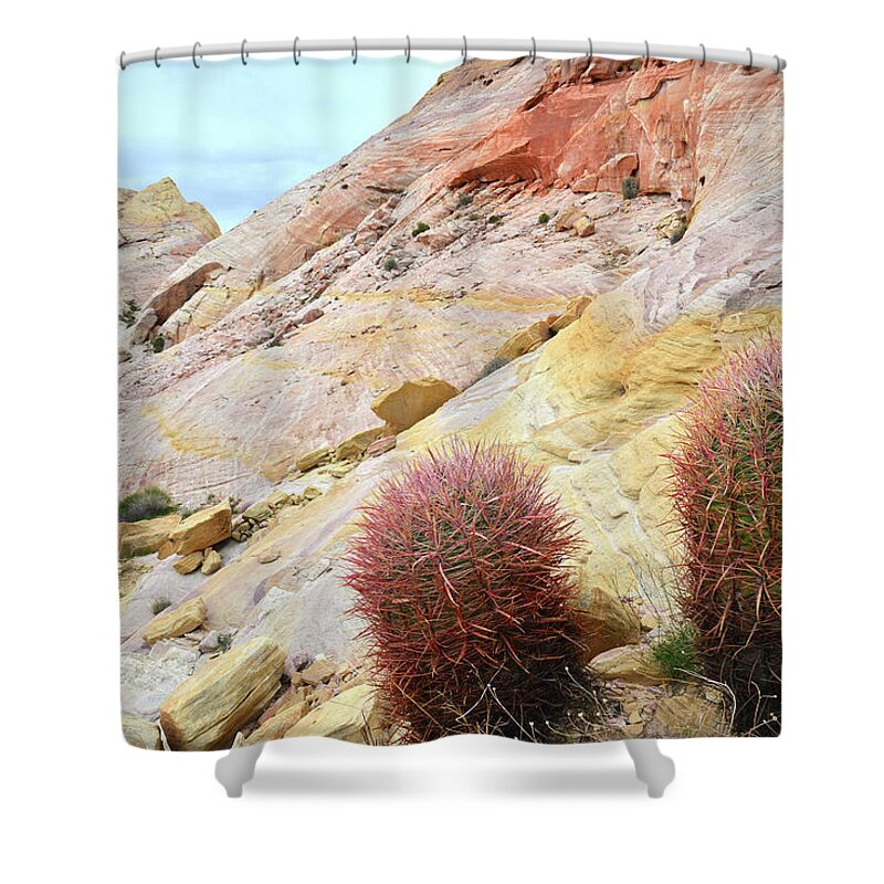 Valley Of Fire State Park Shower Curtain featuring the photograph Valley of Fire Barrel Cactus by Ray Mathis