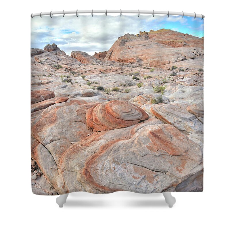 Valley Of Fire State Park Shower Curtain featuring the photograph Valley of Fire Beehives by Ray Mathis