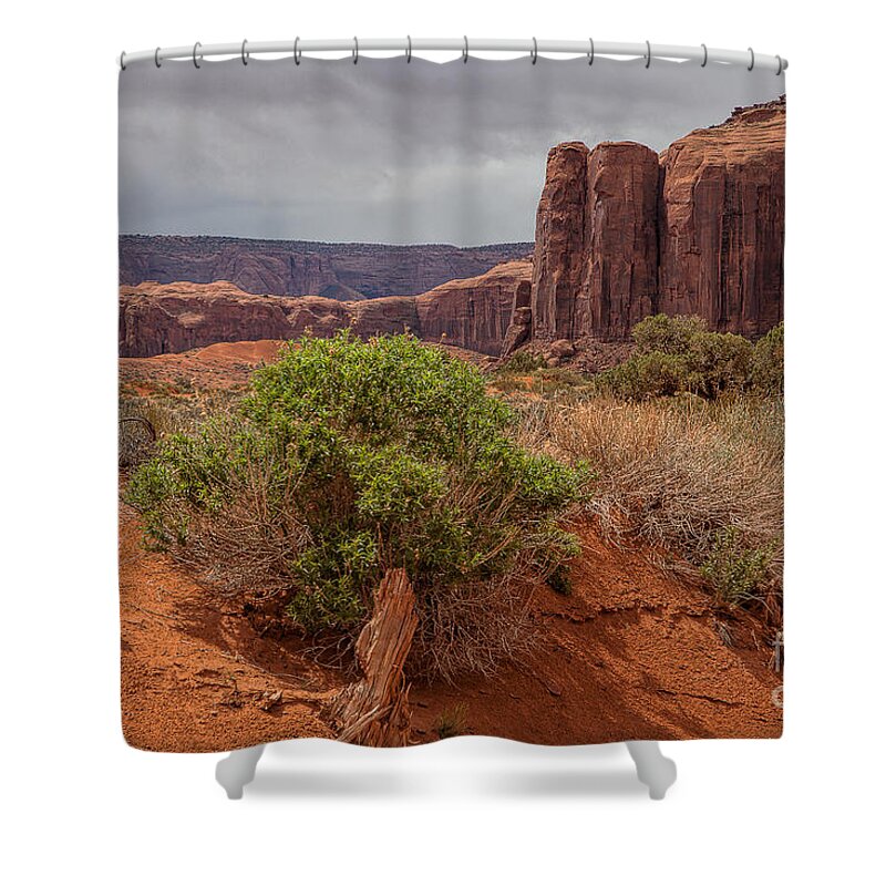 Monument Valley Print Shower Curtain featuring the photograph Valley of God by Jim Garrison