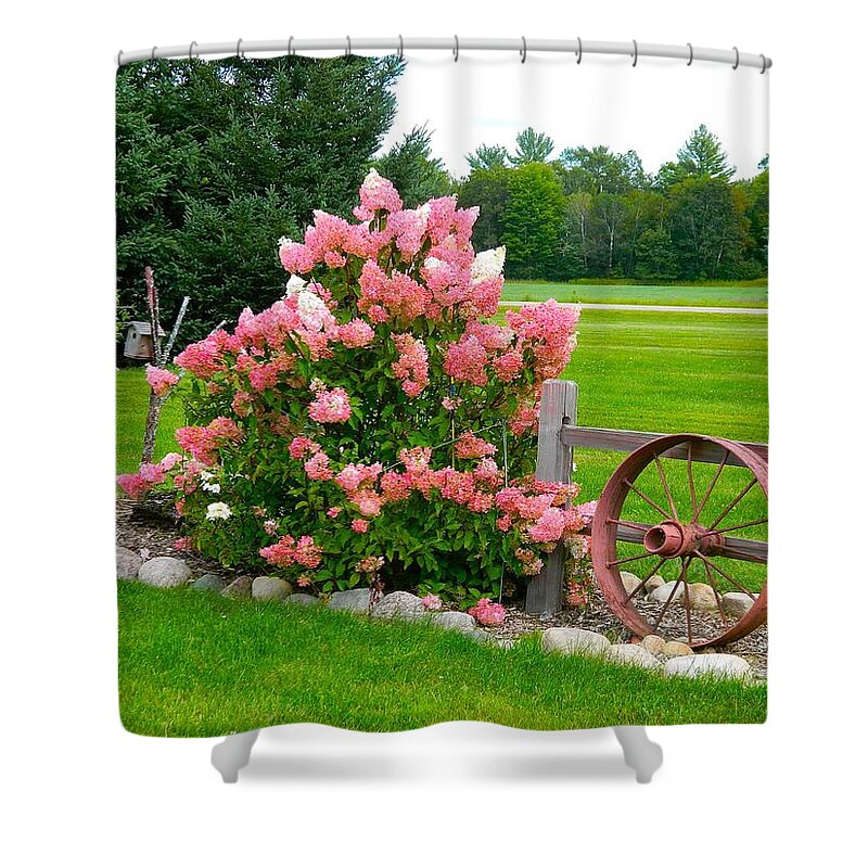 Flowers Shower Curtain featuring the photograph Vanilla Strawberry Hydrangea by Randy Rosenberger