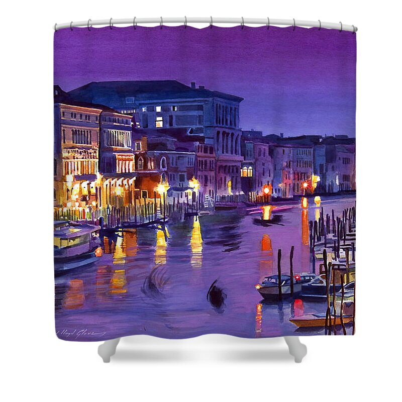 Nights Shower Curtain featuring the painting Venice Nights by David Lloyd Glover