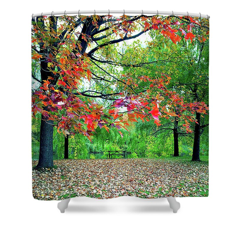 Trees Shower Curtain featuring the photograph Vibrant autumn landscape by GoodMood Art
