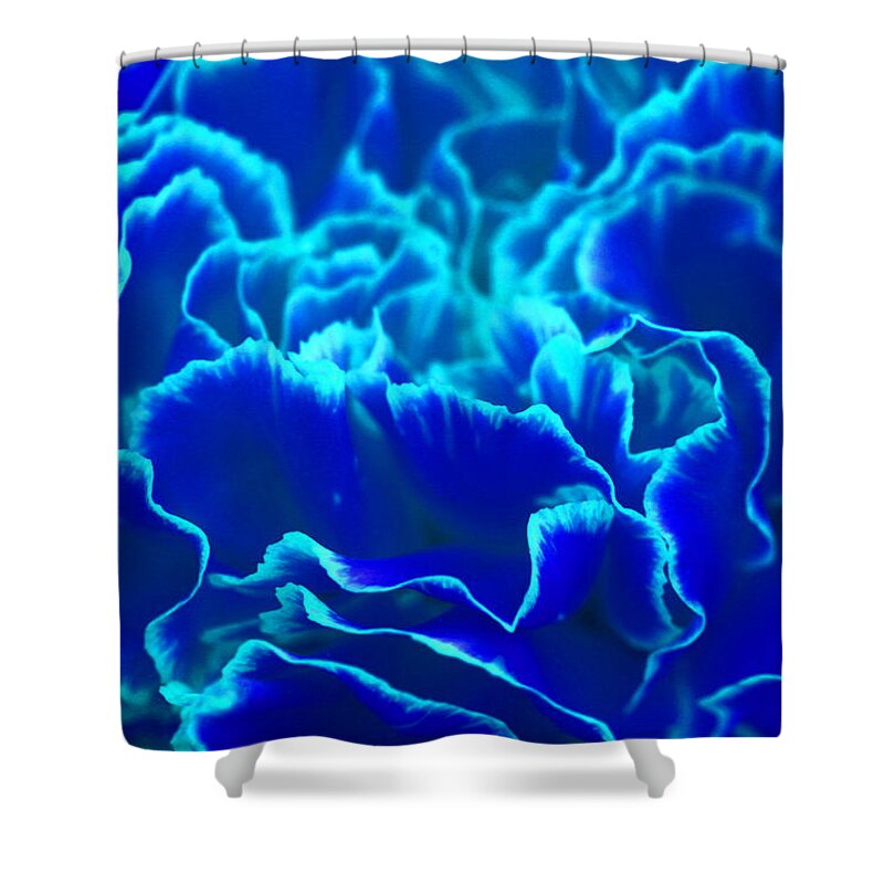 Carnation Shower Curtain featuring the photograph Vibrant Blue and Turquoise Carnation Flower by Shelley Neff
