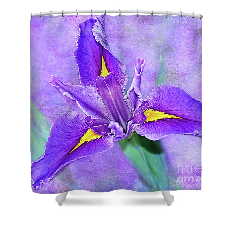 Vibrant Iris On Purple Bokeh Shower Curtain featuring the photograph Vibrant Iris on Purple Bokeh by Kaye Menner by Kaye Menner