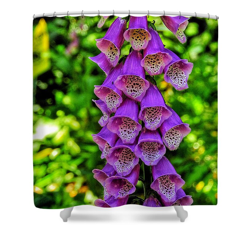 Foxglove Shower Curtain featuring the photograph Vibrant Tones I by Kathi Isserman