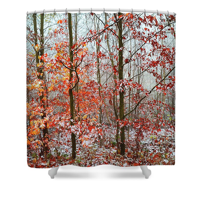 Jenny Rainbow Fine Art Photography Shower Curtain featuring the photograph Vibrant Touch by Jenny Rainbow