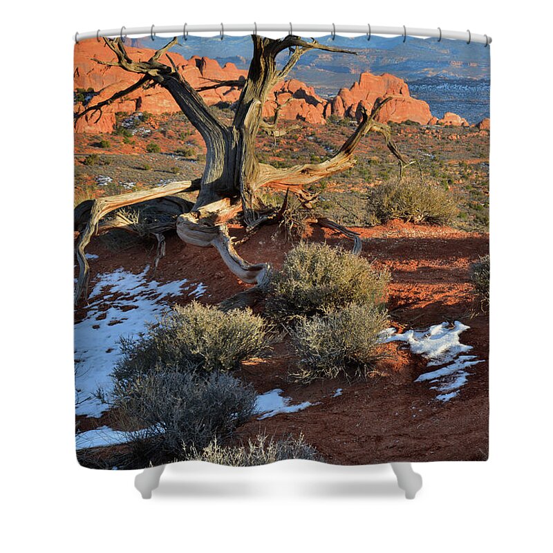 Arches National Park Shower Curtain featuring the photograph View along Park Road in Arches National Park by Ray Mathis