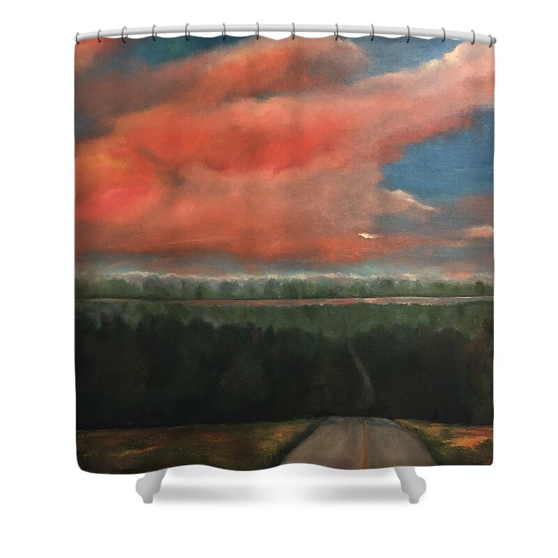 Sky Shower Curtain featuring the painting View to Yell County by Debbie Frame Weibler