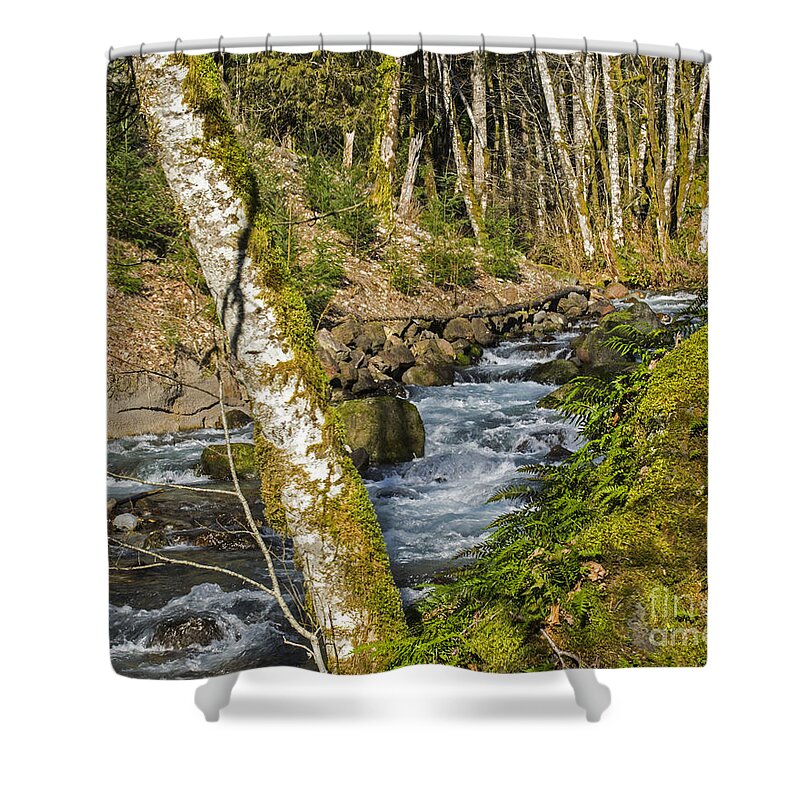 Streams Shower Curtain featuring the photograph Views Of A Stream, I by Chuck Flewelling
