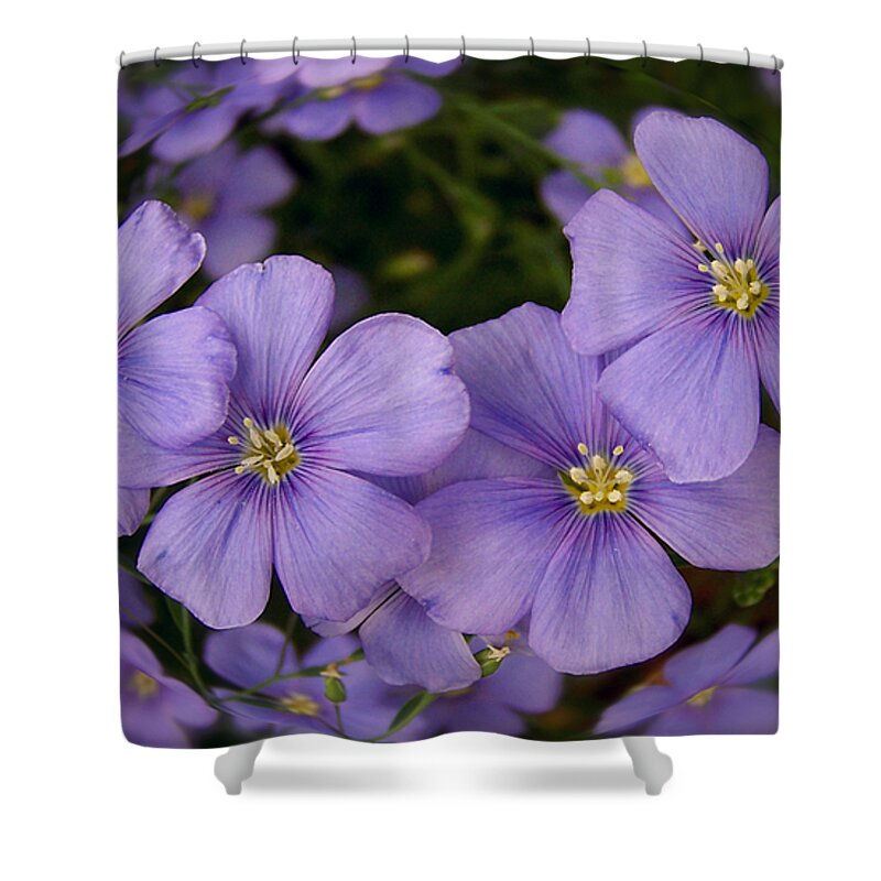 Color Photography Shower Curtain featuring the photograph Vinca Under Glass by Sue Stefanowicz