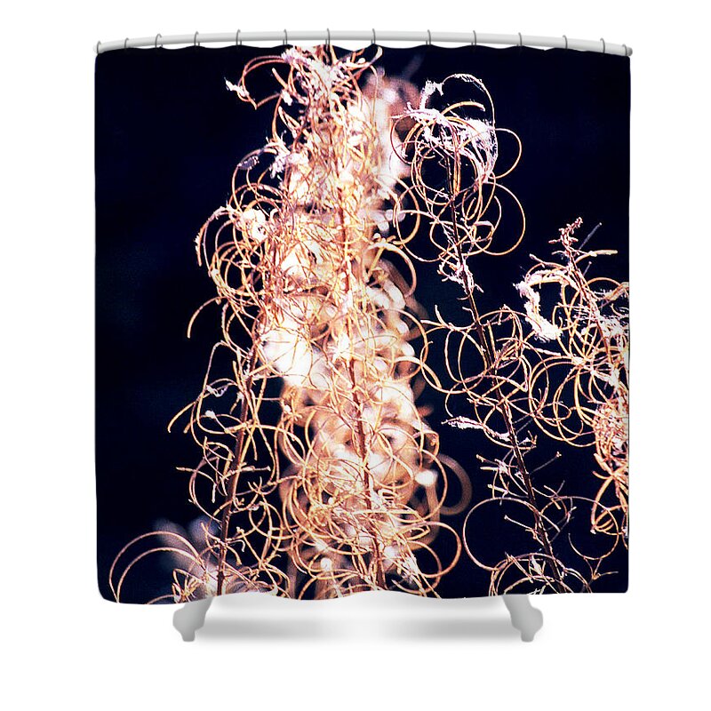 Vines Shower Curtain featuring the photograph Vine Circles and Light by Kae Cheatham