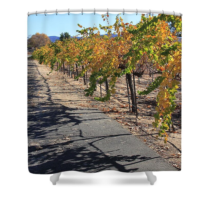 Wine Shower Curtain featuring the photograph Vineyard Shadows by Suzanne Oesterling