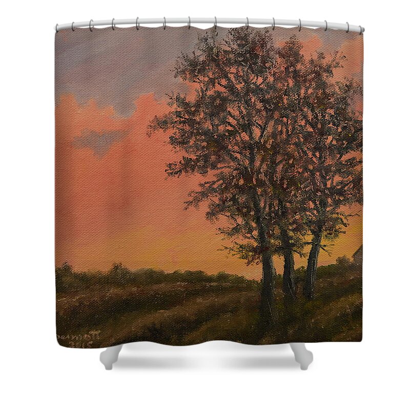 Glowing Sky Shower Curtain featuring the painting Vineyard Sundown by Kathleen McDermott