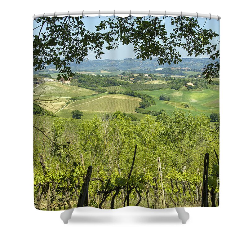 Vineyard Shower Curtain featuring the photograph Vineyards in Tuscany landscape by Patricia Hofmeester