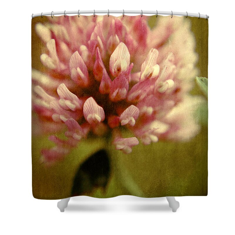 Clover Prints Shower Curtain featuring the photograph Vintage clover by Aimelle Ml