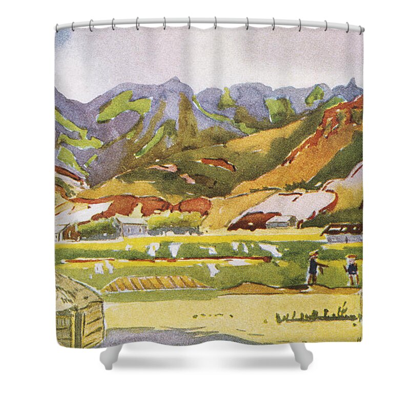 1931 Shower Curtain featuring the painting Vintage Hawaiian Art by Hawaiian Legacy Archive - Printscapes