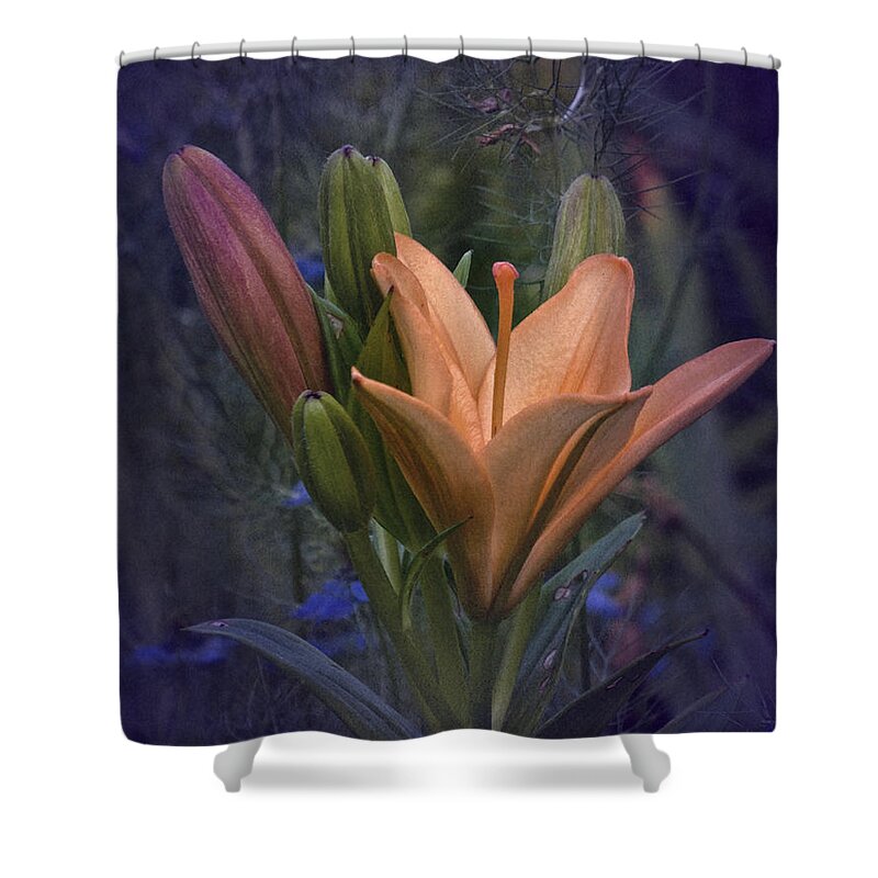 Lily Shower Curtain featuring the photograph Vintage Lily 2017 No. 2 by Richard Cummings