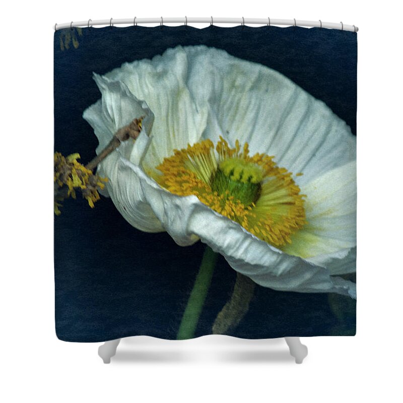 Poppy Shower Curtain featuring the photograph Vintage Poppy 2017 No. 2 by Richard Cummings