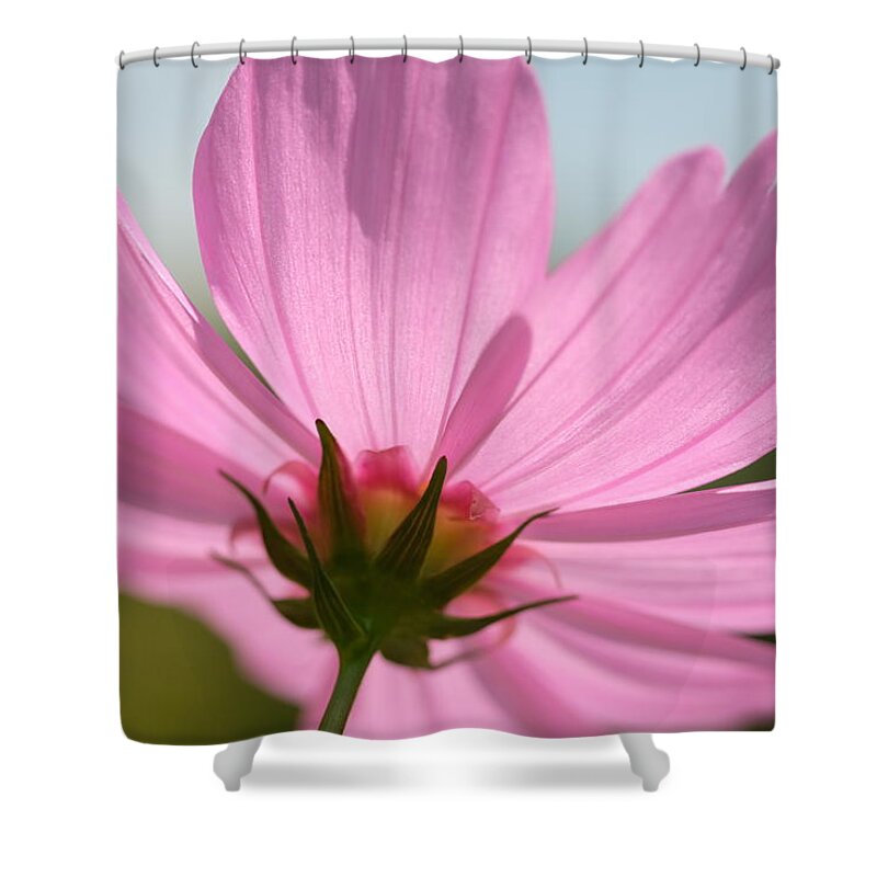 Flower Shower Curtain featuring the photograph Vintage Summer by Jessica Myscofski
