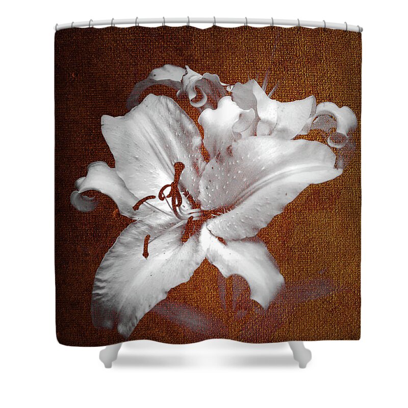 Jenny Rainbow Fine Art Photography Shower Curtain featuring the photograph Vintage White Lilies by Jenny Rainbow