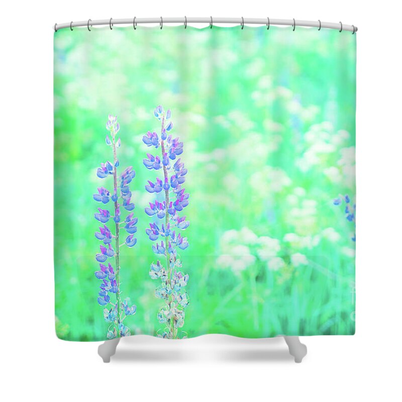 Forest Shower Curtain featuring the photograph Violet Lupine Lane by Anastasy Yarmolovich