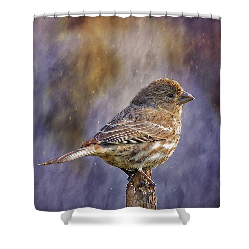 Chordata Shower Curtain featuring the photograph Violet Twilight Finch by Bill and Linda Tiepelman