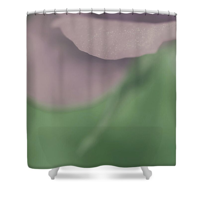 Violetta Shower Curtain featuring the photograph Violetta by The Art Of Marilyn Ridoutt-Greene