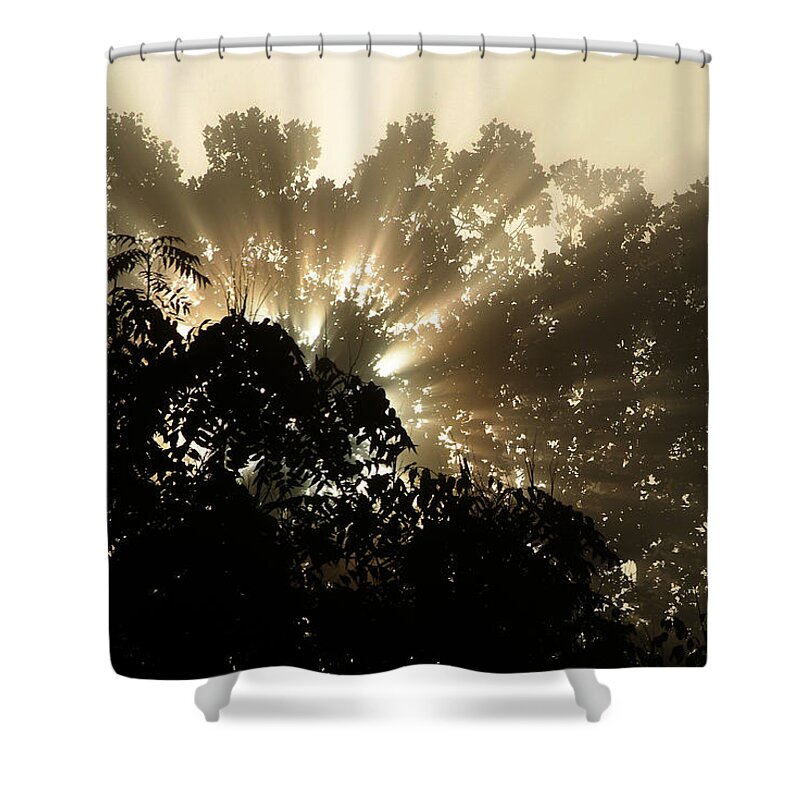 Sunrise Shower Curtain featuring the photograph Virginia Sunrise by Michael McGowan