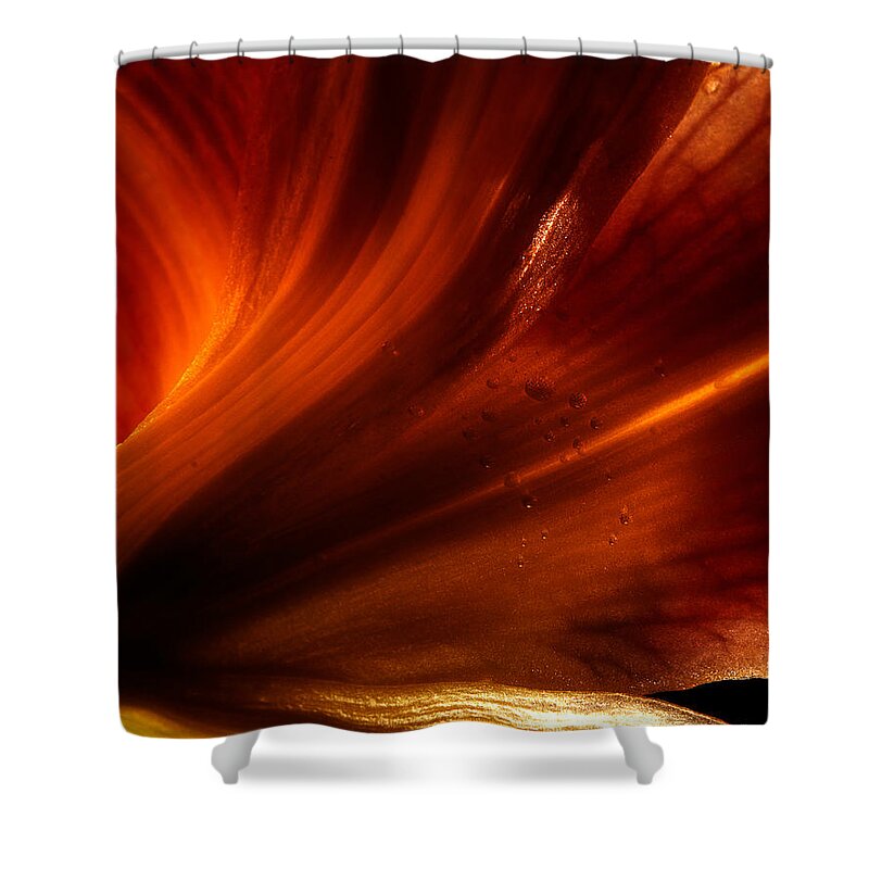 Lily Shower Curtain featuring the photograph Vision Through The Lilies by Michael Eingle