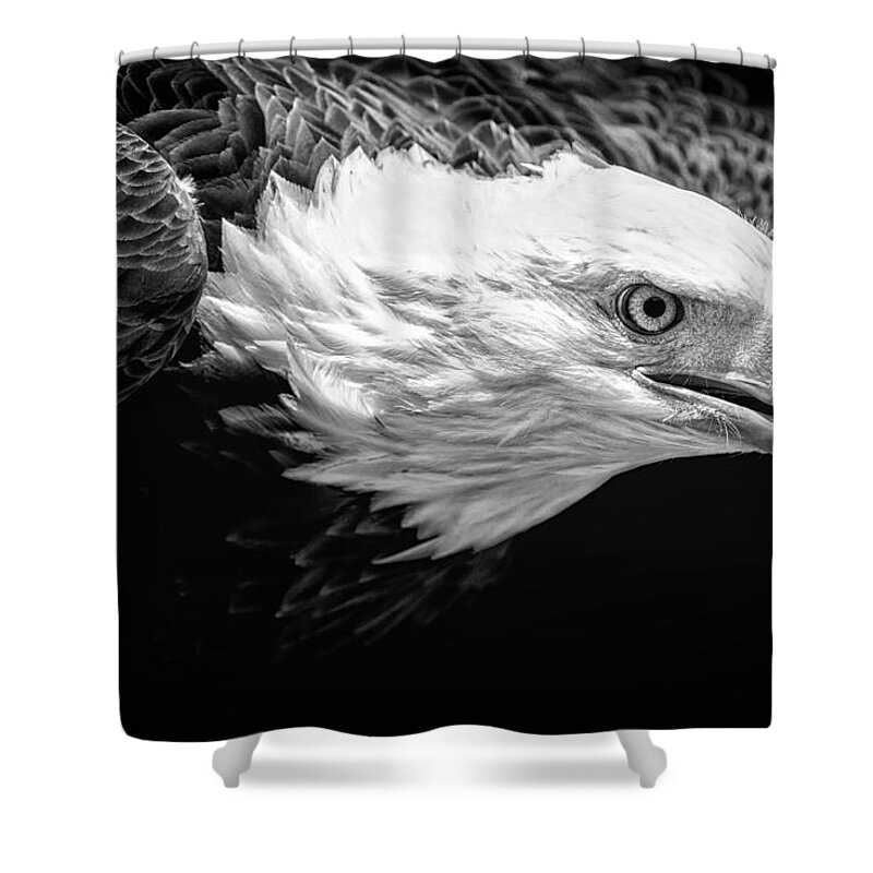 Sherry Day Shower Curtain featuring the photograph Visual by Ghostwinds Photography