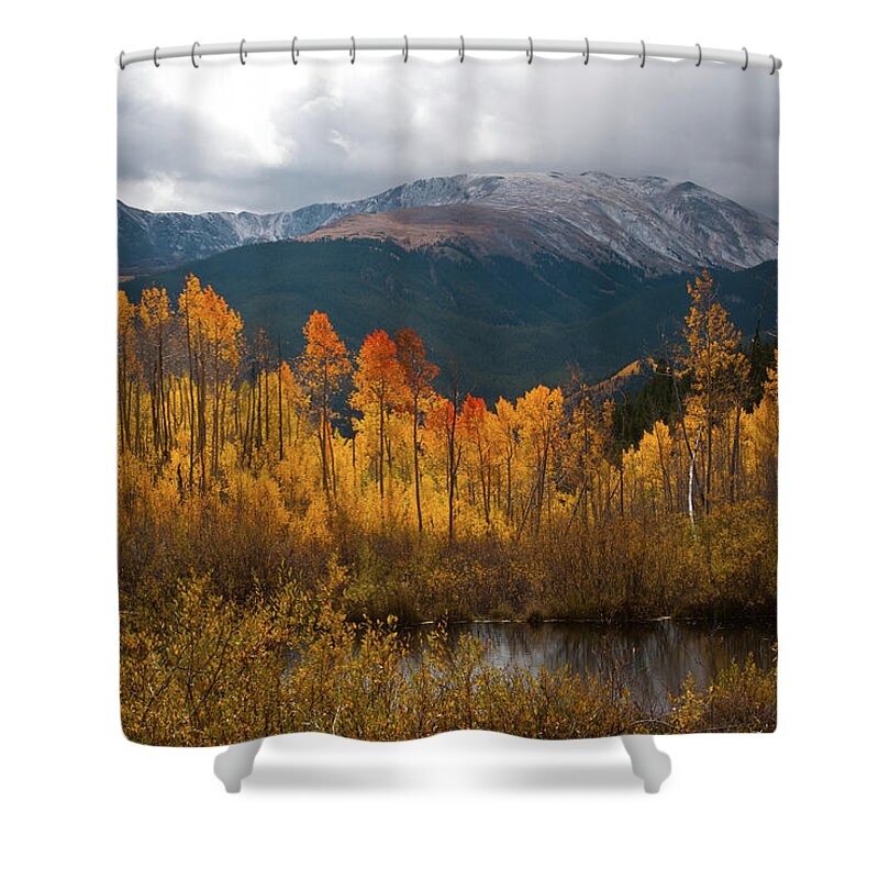 Aspen Shower Curtain featuring the photograph Vivid Autumn Aspen and Mountain Landscape by Cascade Colors