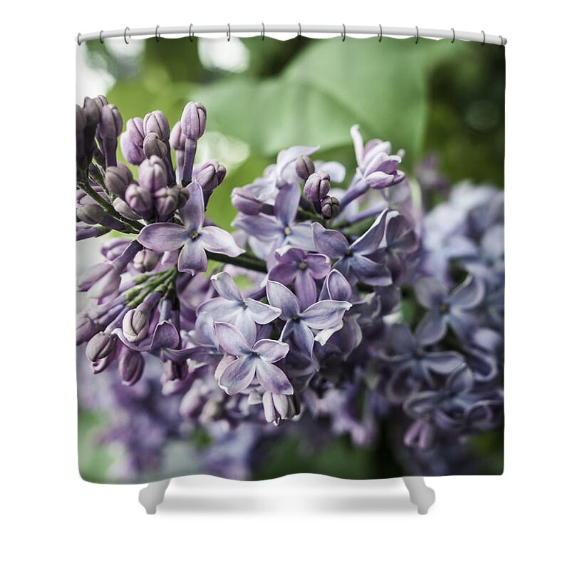 Miguel Shower Curtain featuring the photograph Vivid Dreams by Miguel Winterpacht