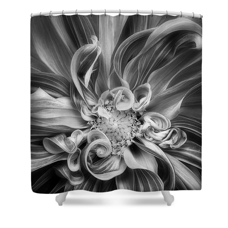 Dahlia Shower Curtain featuring the photograph Vortex by Mary Jo Allen