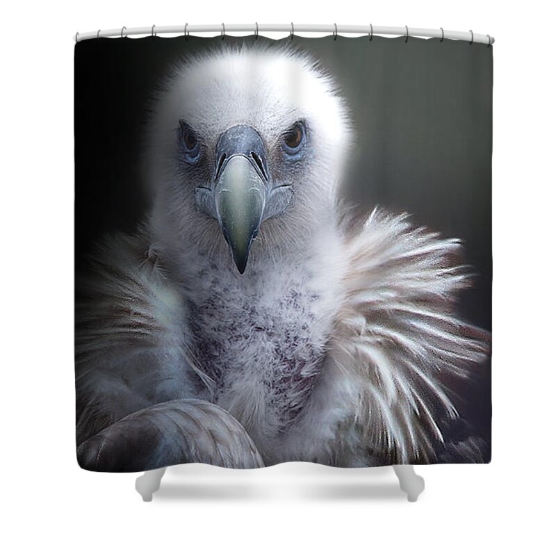 Vulture Shower Curtain featuring the photograph Vulture 2 by Christine Sponchia
