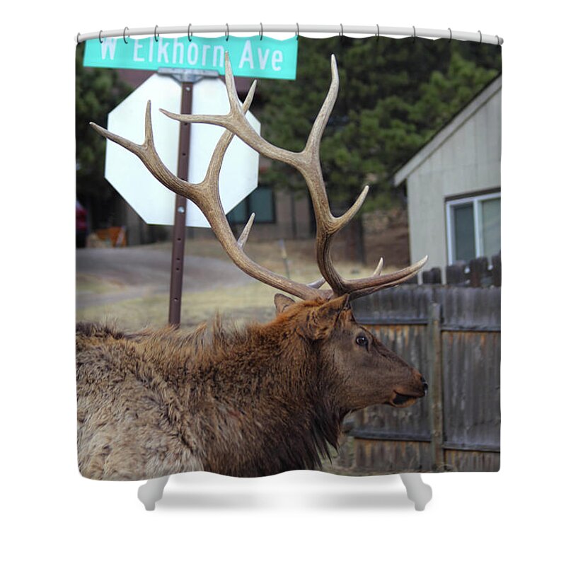 Elkhorn Shower Curtain featuring the photograph W Elkhorn Ave by Shane Bechler