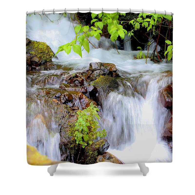Waterfall Shower Curtain featuring the photograph Wahkeena by Sheila Ping