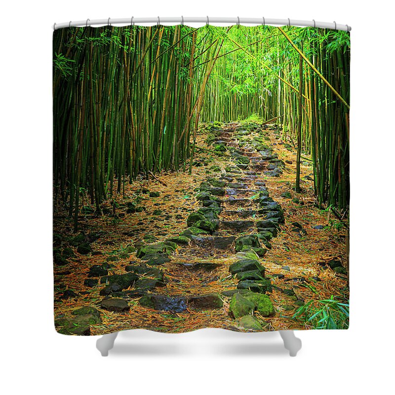 America Shower Curtain featuring the photograph Waimoku Bamboo Forest #2 by Inge Johnsson