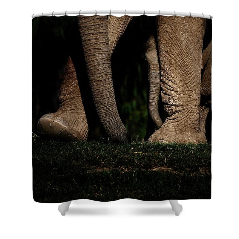 Elephant Mother Baby Shower Curtain featuring the photograph Wait For Me by Debra Sabeck