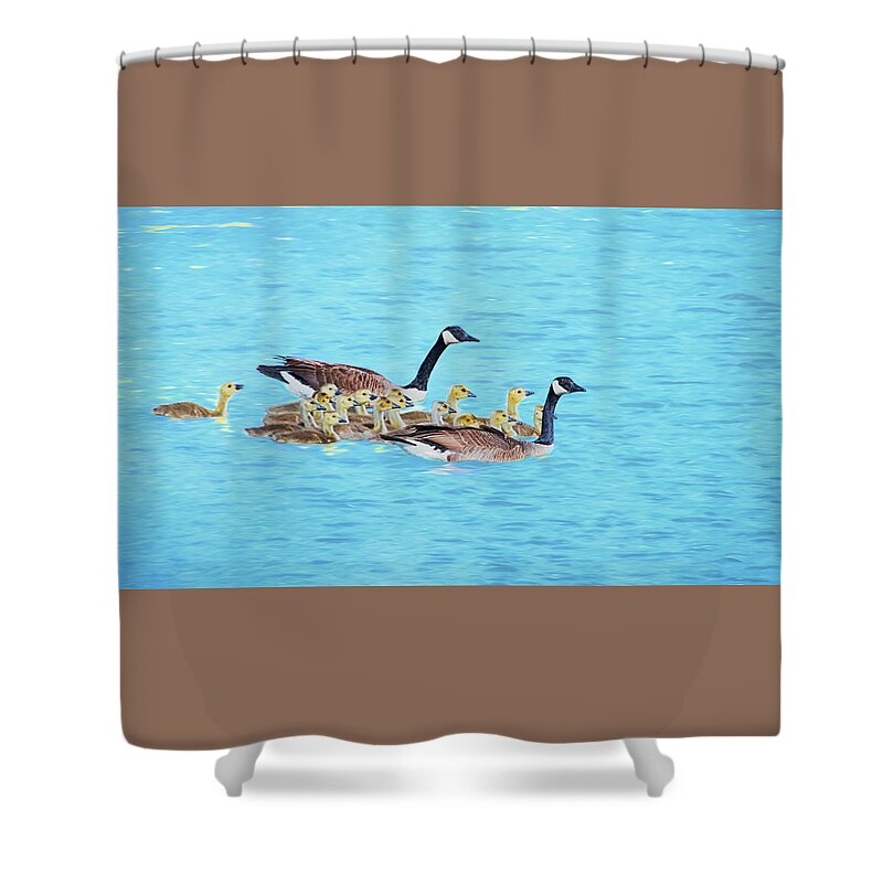 Canadian Geese Shower Curtain featuring the photograph Wait for Me by Susan Rissi Tregoning