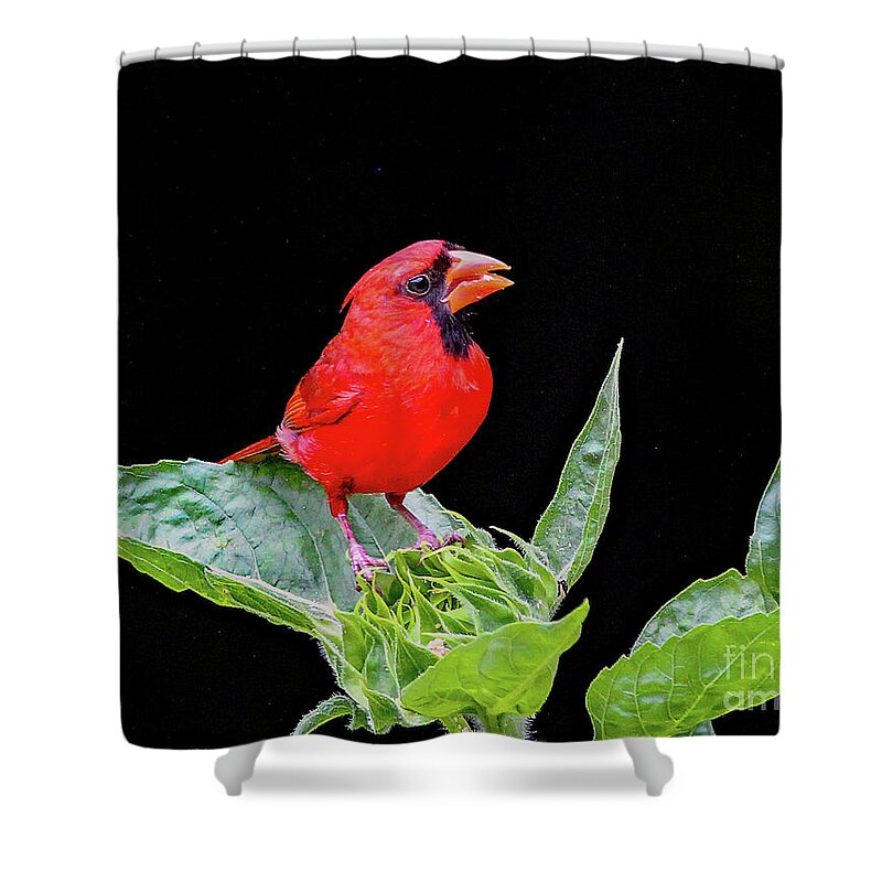 Nature Shower Curtain featuring the photograph Waiting by DB Hayes