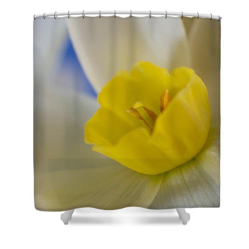 Beautiful Shower Curtain featuring the photograph Waiting for a Bee by Susan Eileen Evans