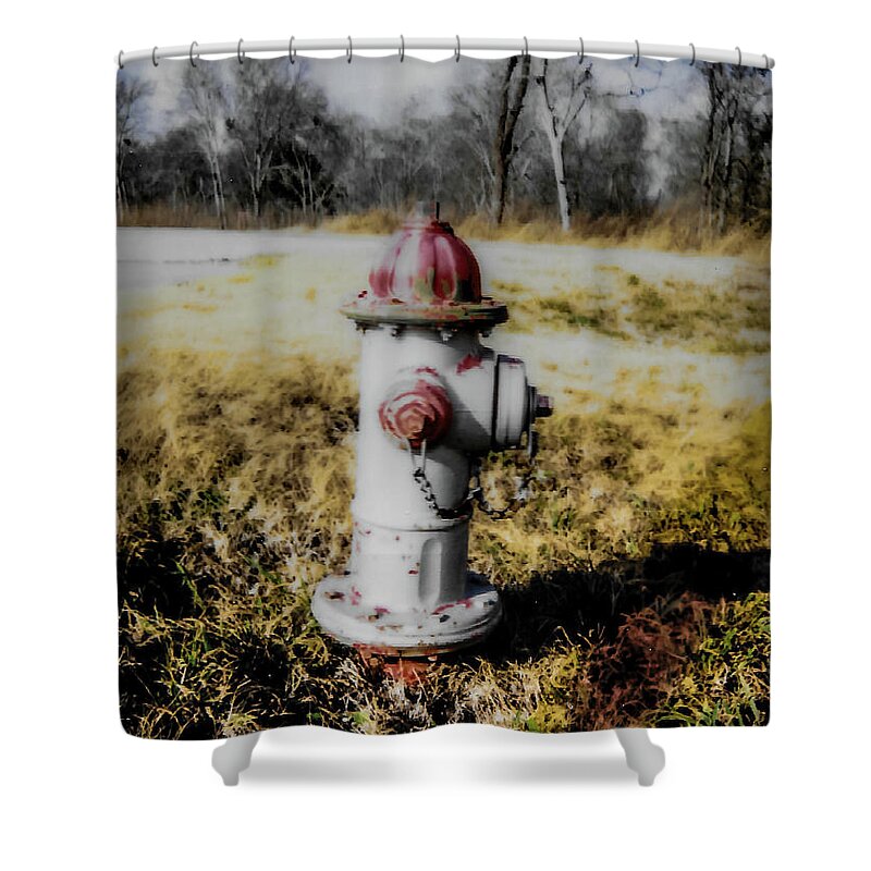 Fire Hydrant Shower Curtain featuring the photograph Waiting For A Friend by JB Thomas