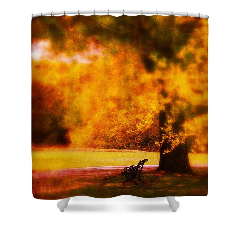Fine Art Shower Curtain featuring the photograph Waiting for ever by Susanne Van Hulst