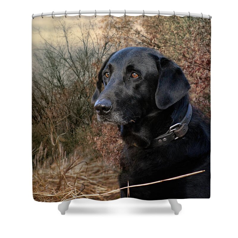 Jai Johnson Shower Curtain featuring the photograph Waiting For The Word by Jai Johnson