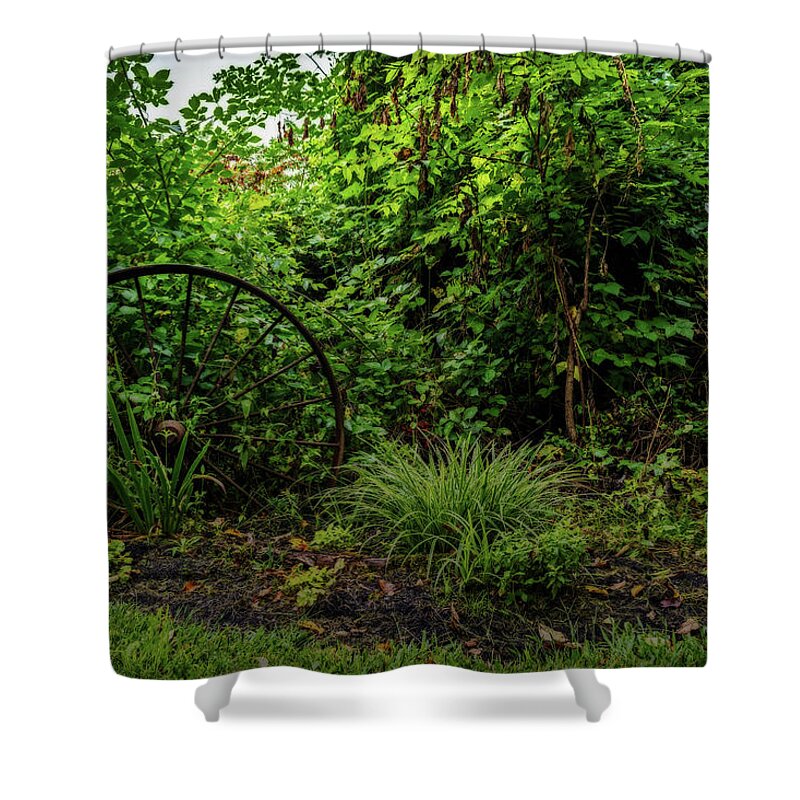 Wheel Shower Curtain featuring the photograph Walk in the park by Tim Buisman