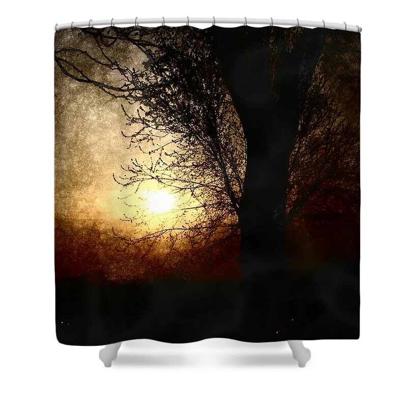 Landscape Shower Curtain featuring the photograph Walk Quietly Into the Night with Me. by Julie Lueders 