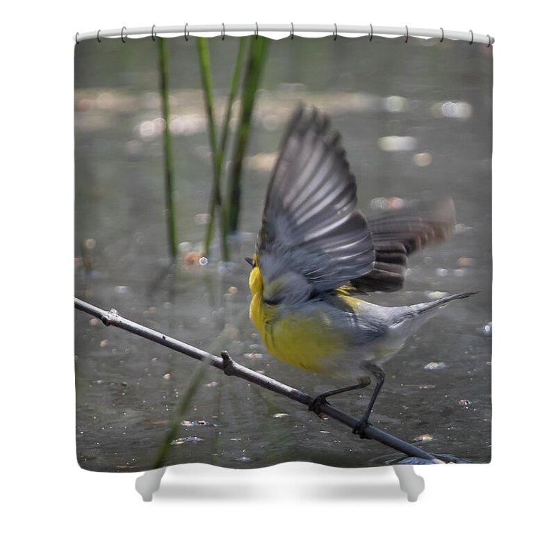 Canada Shower Curtain featuring the photograph Walking a Tightrope by Gary Hall